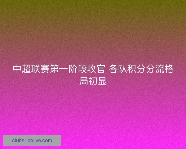 中超联赛第一阶段收官 各队积分分流格局初显